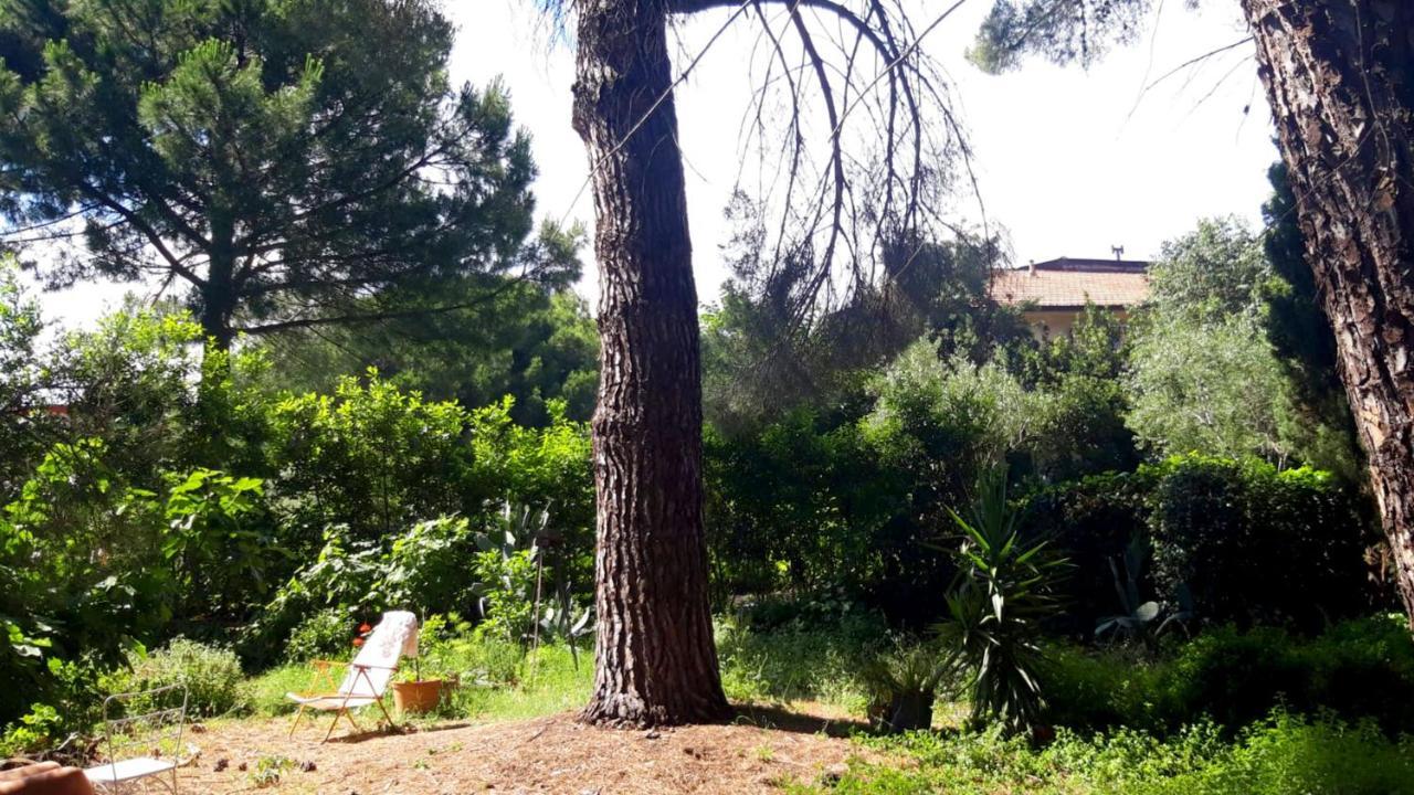 B&B Etnea Centoundici Nicolosi Esterno foto
